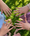 Pack Pomrose Kids